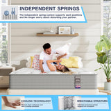 6V-Sermmoo Queen Mattress,12 Inch Gel Memory Foam and Innerspring Hybrid Mattress in a Box with Individual Pocket Spring for Motion Isolation & Silent Sleep,CertiPUR-US,60"*80"*12"