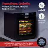Magic Mill Premium Food Dehydrator Machine (15 Extra-Large Stainless Steel Trays) 800W Dryer for Beef Jerky, Fruits, Vegetables, Dog Treats, 48 Hour Digital Timer - 95°-167° Temperature Control