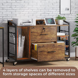 File Cabinet, Filing Cabinet fits Legal/Letter Size, 2 Drawer File Cabinets for Home Office with Lock
