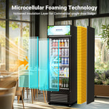 BODEGACOOLER Beverage Refrigerator and Cooler, 10.0 Cu.Ft. Commercial Refrigerator For Home & Kitchen, Office and Garage