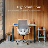 Branch Ergonomic Chair - A Versatile Desk Chair with Adjustable Lumbar Support, Breathable Mesh Backrest, and Smooth Wheels
