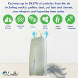 LivePure True HEPA Air Purifier & Humidifier, Sage
