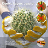 FEISHDEK Medium Size - 2 Pairs Cactus Gloves Gardening Thorn Proof Ladies, Women Garden Gloves