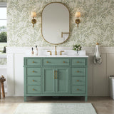DELUXE LIVING 48" Bathroom Vanity with Sink, Fully Assembled, Sea Green