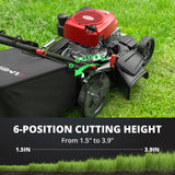 AMERISUN Gas Lawn Mower 21-Inch, 144cc Walk Behind Push Mower with 3-in-1 Mulching, Rear Bag & Side Discharge, 6-Position Adjustable Cutting Height, Heavy-Duty Steel Deck for Yard & Garden Care