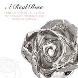 Forever Rose Two Real Roses Dipped in Platinum, Acrylic Heart Vase