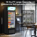 BODEGACOOLER Beverage Refrigerator and Cooler, 10.0 Cu. Ft Commercial Refrigerators For Man Cave, Display Refrigerator with Soft LED Light