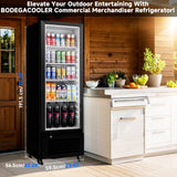 BODEGACOOLER 11.5 Cu.Ft. Commercial Merchandiser Refrigerators, Adjustable shelves & Automatic Defrost, Commercial Beverage Refrigerator Glass Door