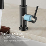 FORIOUS Kitchen Faucets with Pull Down Sprayer, Black Classic Single Handle Stainless Steel High Arc Faucet for Kitchen Sink, 1 Hole with Deck Plate Sink Faucet for Bar RV Farmhouse Outdoor Laundry