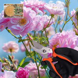 8 Piece Stainless Steel Gardening Tool Set - 17 Tine Heavy Duty Rake, 5 Piece Hand Tool Kit, Pruning Shears, and Gloves