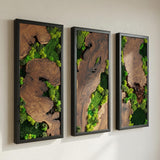 Wood and Moss Wall Art, Single Panel Natural Greenery Decor for Small Spaces, Rustic Framed Forest Wall Hanging, Maintenance-Free Biophilic Art