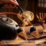 SECHUDO 67.6oz Cast Iron Teapot for Stovetop Safe, Black Japanese Tetsubin Tea Kettle with Stainless Steel Infuser for Loose Leaf, Coated with Enameled Interior