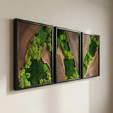 Moss Wall Decor Preserved Moss Art in Solid Cedar Wood Frame | Natural Wooden Wall Decor for Living Room, Office, Home | Zero Maintenance Gift for Nature Lovers 3 Pieces