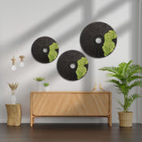 Round Moss Wall Art Set of 3 Preserved Moss Decor on Solid Wood Base Natural Wooden Wall Decor for Living Room Office Home Zero Maintenance Botanical Art