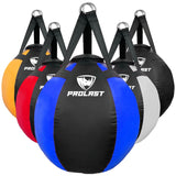 PROLAST Wrecking Ball Heavy Punching Bag for Adults, Hook and Uppercut, Body Snatcher, Boxing, MMA, Muay Thai Training Equipment, Unfilled, 65 lbs, Rhino Blue