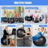 Leyndo 4 Pcs 26 Inch Yoga Exercise Ball Pilates Pregnancy Birthing Fitness Ball with Quick Pump Anti Burst for Improved Posture, Balance, Yoga, Pilates, Training(Black)