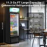 BODEGACOOLER Commercial Beverage Refrigerator, 240 Cans & 160 Bottles, Display Refrigerator For Beer,Soda, Merchandiser Refrigerator