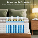 BedStory Queen Mattress 12 Inch - Medium Firm Hybrid Mattress with Optimal Lumbar Support, Reinforced Edges & Motion Isolation - Fiberglass-Free Colchones Queen, CertiPUR-US