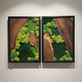 Moss Wall Decor Preserved Moss Art in Solid Cedar Wood Frame | Natural Wooden Wall Decor for Living Room, Office, Home | Zero Maintenance Gift for Nature Lovers 2 Pieces