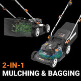 WORX 17'' Cordless Lawn Mower, 2 in 1 Electric Mower Cuts to Edge, Compact & Lightweight Push Lawn Mower with 6-Position Height Adjustment for Medium Size Yards, 2 Batteries & Charger Included, WG745