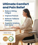 Foam Seat Cushion for Office Chairs & Car - Ergonomic Office Desk Accessories - Cushions for Tailbone Pain Relief