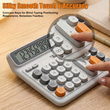 Niodel 12-Digit Desktop Calculator, Dual Power (Solar & Battery), 7.7inch