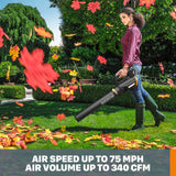 Worx 20V 12" Cordless String Trimmer & 360 CFM Leaf Blower Combo, 2 Batteries & Charger Included, WG928