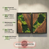 Moss Wall Decor Preserved Moss Art in Solid Cedar Wood Frame | Natural Wooden Wall Decor for Living Room, Office, Home | Zero Maintenance Gift for Nature Lovers 2 Pieces