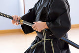 HMS Japanese Samurai Katana and Wakizashi Daisho Combo Set, Warrior and House Tsuba, Hand Forged Heat Tempered, 1045 Carbon Steel, Black Wooden Scabbard
