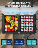 BODEGA BODEGACOOLER 12 Volt Car Refrigerator, 100Quart (95L) Dual Zone Car Fridge APP Control, Portable Freeze