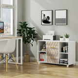 2 Drawer File Cabinet Large Mobile Lateral Filing Cabinet Letter Size for Home Office, White LITTLE TREE