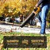 Aokia Leaf Blower, 21V Electric Cordless Blower with 2 3.0Ah Batteries and Charger - 580CFM/160MPH Powered Air Blower