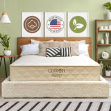 COTTON SLEEP All Natural 11" Mattress (100% Organic Cotton, & Wool, Made in The USA) Non Toxic, Fiberglass Free Hybrid Pocket Coil and Plush Foam Bed in A Box (Firmness: Medium) Twin XL