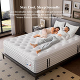 BedStory Upgrade 14 Inch Firm King Size Mattress, Luxury Hybrid Mattress in a Box for Zoned Pressure and Pain Relief, Signature Collection Deep Sleep Mattresses, 10 Years Warranty,365 Nights Trial
