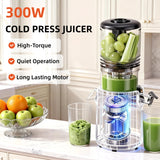 celiberry Cold Press Juicer Machines, 5.3” Large Feed Chute Slow Masticating Juicer for Whole Fruits & Vegetables, Easy Clean, Black