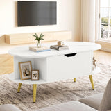 Giantex Lift Top Coffee Table with Storage, 39.5" Faux Marble Center Table