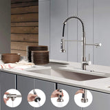 PAKING Kitchen Sink Faucet, Pull-Down Water Filtration Faucet, Bar Filter, Brushed Nickel, Stainless Steel, PB1017