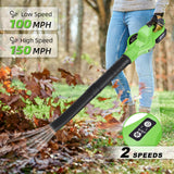 Leaf Blower Cordless, 20V Electric Cordless Leaf Blower with 4000mAh Battery and Charger, 2 Speed Modes