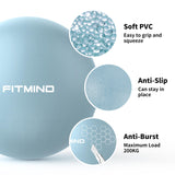 FITMIND Pilates Ball 10 Inches Small Exercise Ball,Core Ball with Inflation Straw, Barre Ball,Bender Ball for Yoga, Stability, Fitness, Ab, Core,Workout,Physical Therapy-Blue FITMIND