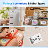 Phomemo M250 3 Inch Label Maker Machine with Tape