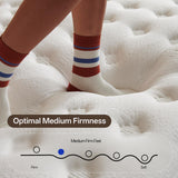 DINBooonLUX Queen Size Mattress,12 Inch Hybrid Queen Mattress in a Box with Memory Foam and Zoned Support Spring,Motion Isolation,Medium Firm,CertiPUR-US.
