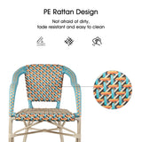 PURPLE LEAF French Bistro Chairs with Arms Set of 2, White Finish, Colorful