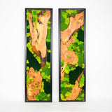 Handmade Preserved Moss Wall Art with Solid Cedar Wood Frame, 100% Real Moss Wall Decor, Maintenance-Free Greenery Art for Modern Office & Home, Unique Vertical Nature Art Gift 1 Piece, 20" x 60"