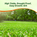 Outsidepride Forage Bermuda Seeds - 40 lb. Perennial, Drought Tolerant & Fast-Growing, Pasture Seeds for Planting Large Grass Leaves, Ideal for Hay Foraging & Rotational Grazing