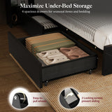 Uteeran Queen Size Bed Frame with 2 Bedside Storage Racks & 4 Locking Drawers, 51.2" Tall Headboard with Charging Station & RGB LED Lights, Farmhouse Platform Bed Frame, No Box Spring Needed, Black