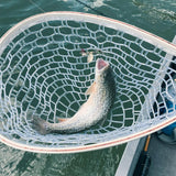 RHINR Landing Net for Fly Fishing, Trout Fishing Soft Rubber Catch and Release Fish Net with Wooden Handle (White Net)
