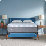 Sealy Dreamlife 14” Hybrid Mattress-in-a-Box, King, SealyComfort Gel Memory Foam, SealyResponsive Encased Coils, Machine Washable Cover