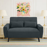Jarenie 48" Small Loveseat Sofa, Mid Century Modern Love Seat with Back Cushions and Plastic Legs, 2 Seater Couches for Living Room, Bedroom, Small Spaces, Dark Grey