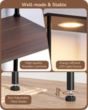 EDISHINE RGBW Floor Lamp, 5-Tier Display Shelf with Light, Adjustable Brightness & Color Temperature, 3 Lighting Modes, Remote Control, Stable Floor Lamps for Living Room, Bedroom, Study, Dark Walnut