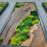 Wood and Moss Wall Art, Single Panel Natural Greenery Decor for Small Spaces, Rustic Framed Forest Wall Hanging, Maintenance-Free Biophilic Art